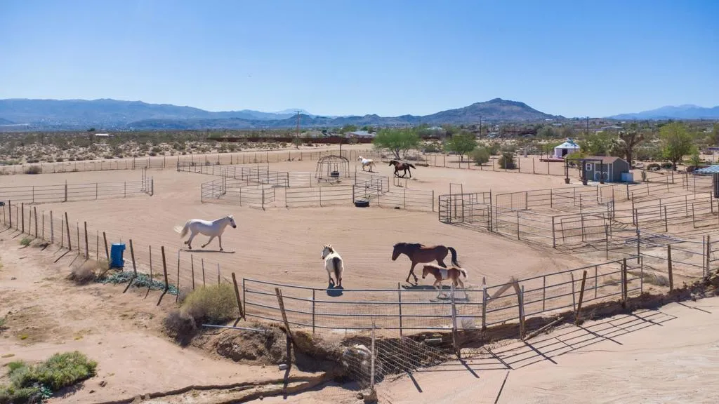 63220 Cielito Drive, Joshua Tree, California 92252 home-pic-24