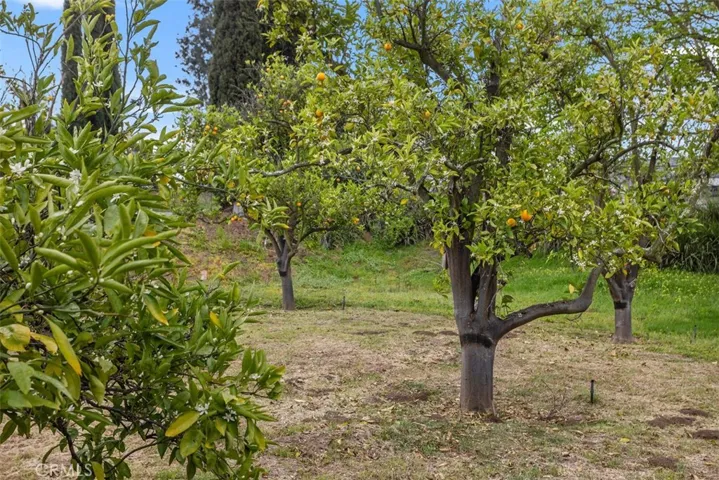 1840 Gum Tree Lane C, Fallbrook, California 92028