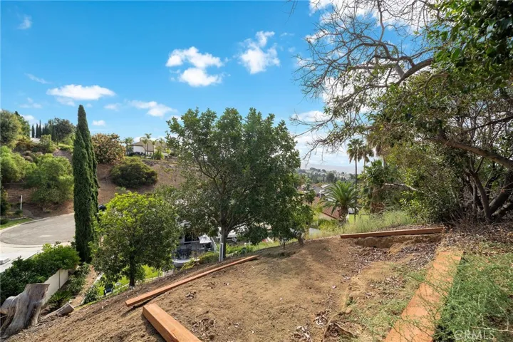 View from hillside in Backyard