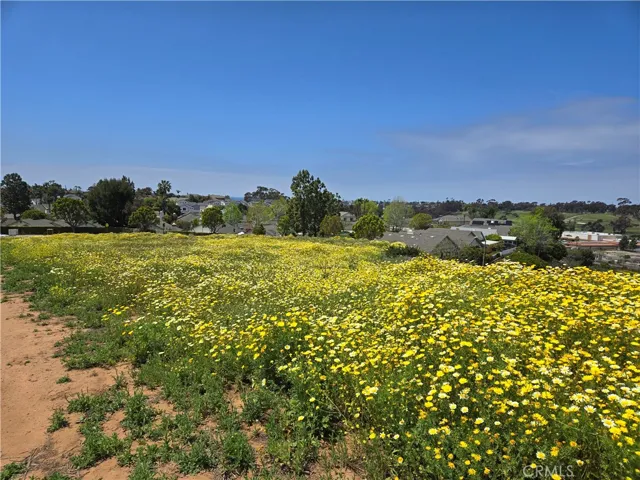 Rancho Milagro