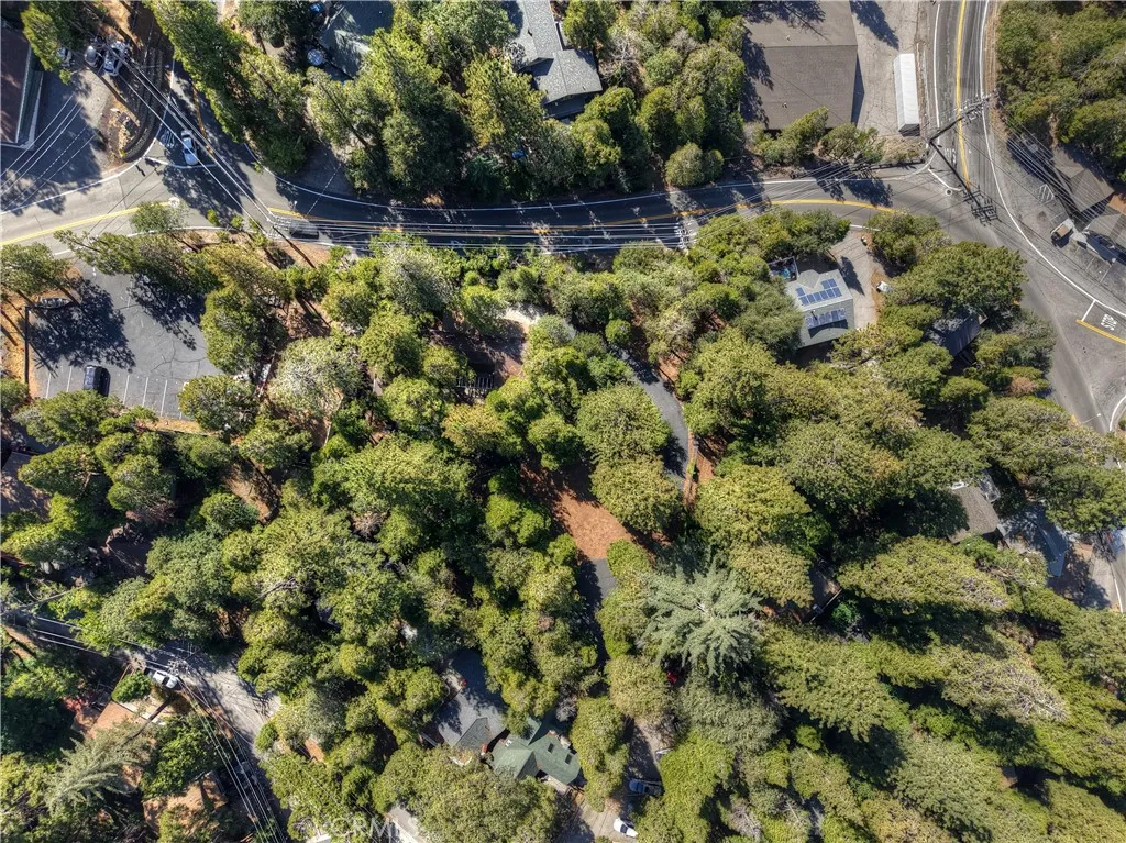 Lots of trees for shade..