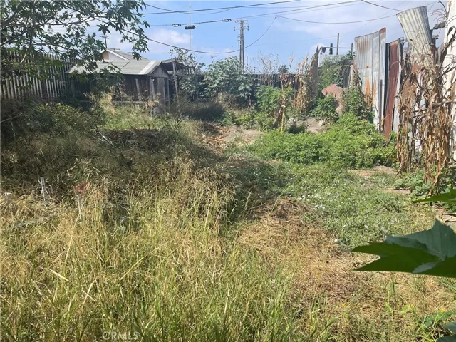 rear yard