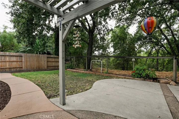 Back yard