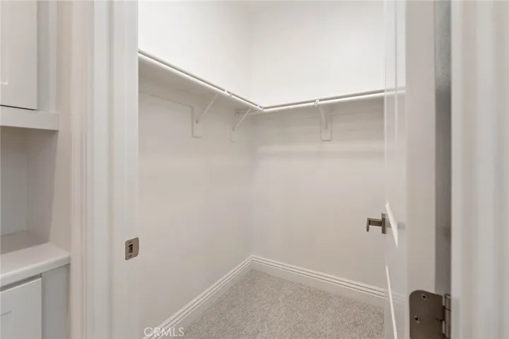 Guest Room Walk-In Closet