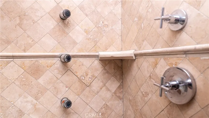 Primary Bathroom Shower Delails