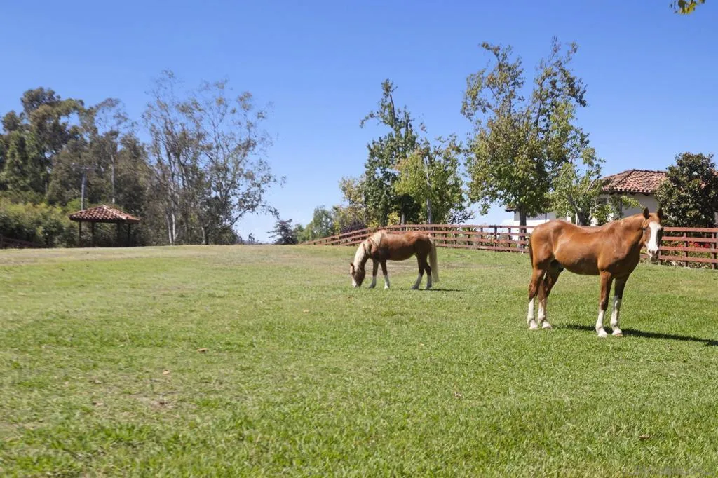 17872 Via De Fortuna, Rancho Santa Fe, California 92067 home-pic-39