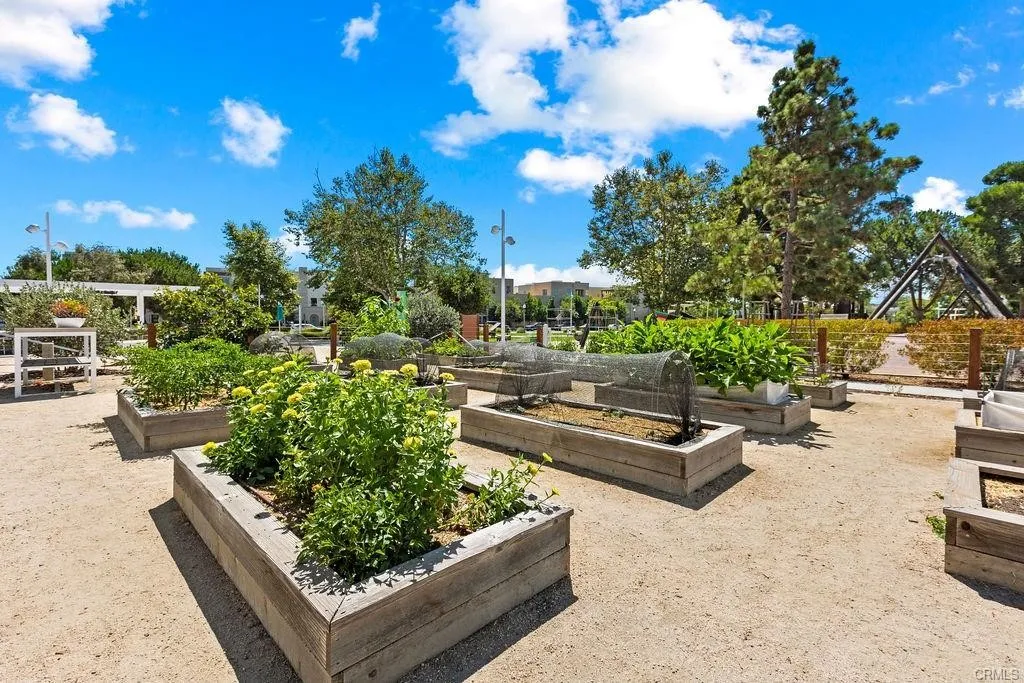 1131 Cadence, Irvine, California 92618 home-pic-30