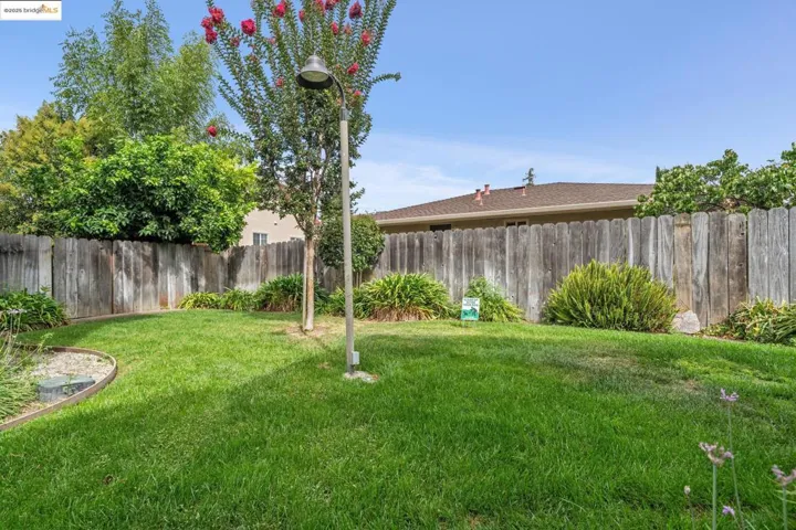 View of fenced backyard