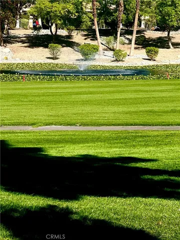 Can you believe this scenery outside your living room?
