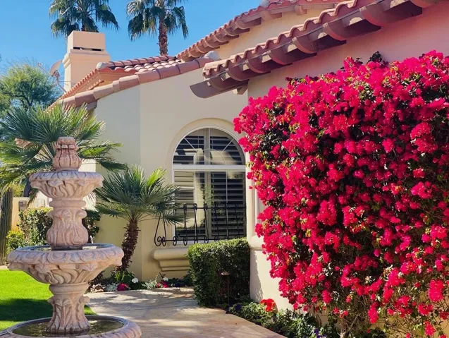 8995EA83-41AD-4477-B438-2E174DF5DE65_1_1