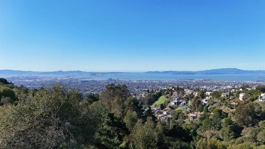 View of mountain backdrop with a heavily wooded area