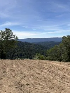 Land 5-13-2026
