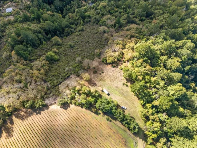 Birdseye view of parcel and neighboring property.