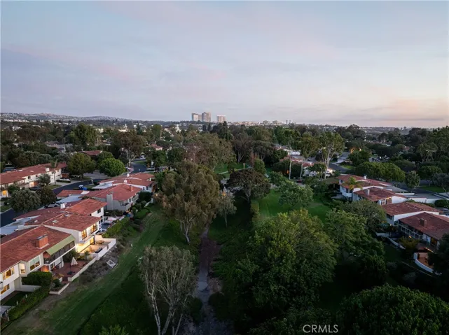 Fashion Island in the background