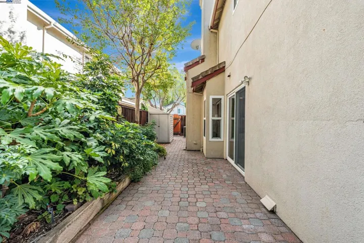Side Yard