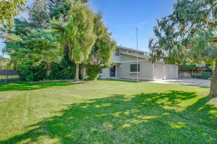 Front Yard