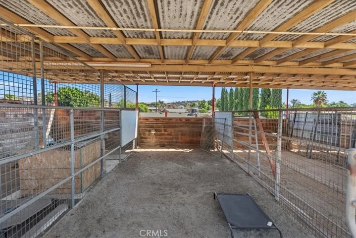 Misters, lighting and welded wire with fully covered coral.