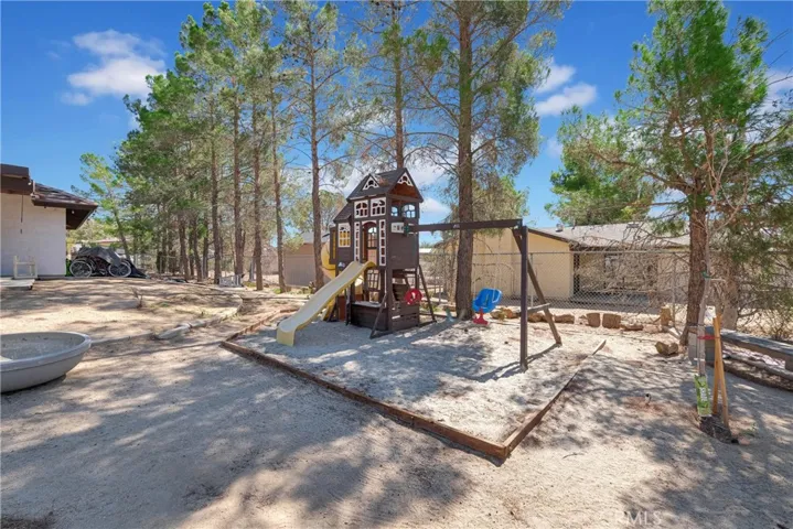 Playground in backyard
