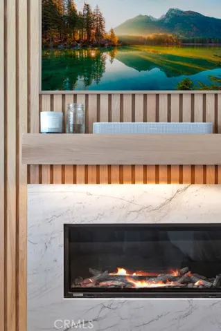 Primary Bedroom Fireplace