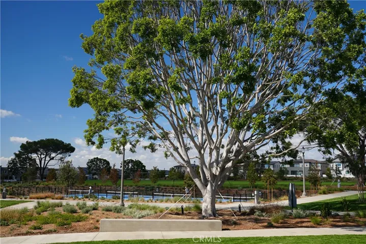321 Loon, Irvine, California 92618