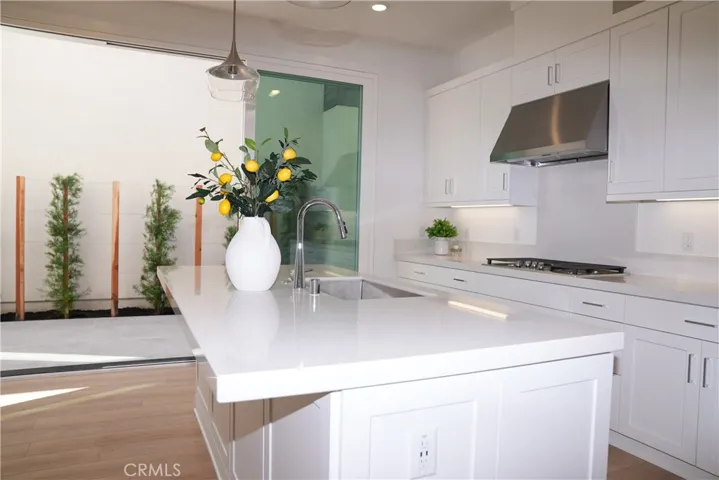 321 Loon, Irvine, California 92618