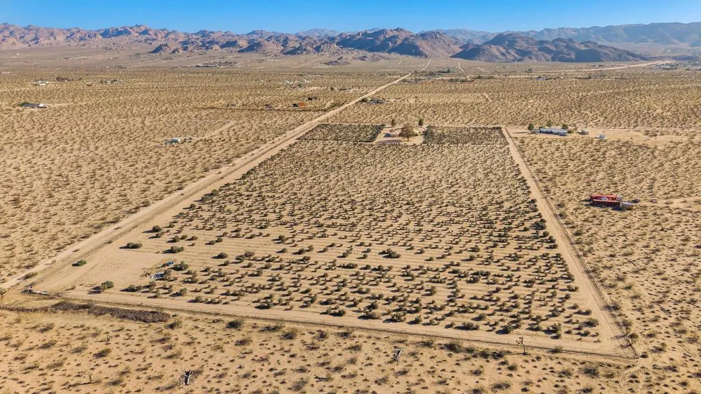 62850 Dennis Avenue, Joshua Tree, California 92252 home-pic-37