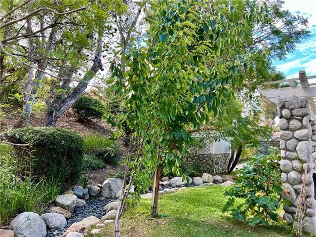 26612 Royale Drive, San Juan Capistrano, California 92675