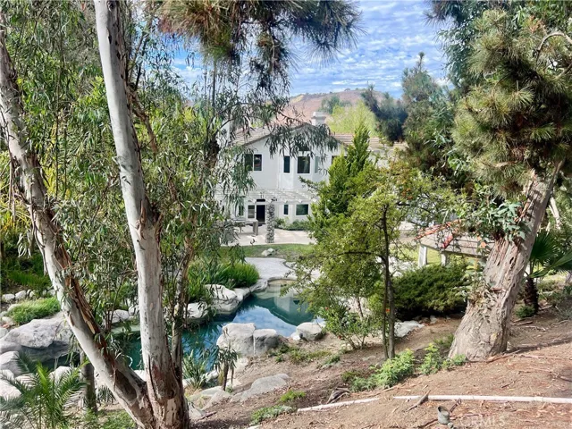 26612 Royale Drive, San Juan Capistrano, California 92675