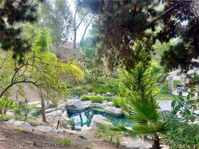 26612 Royale Drive, San Juan Capistrano, California 92675