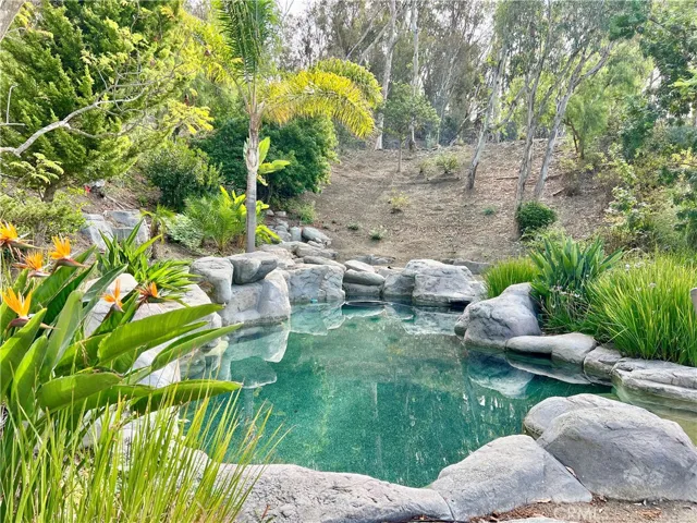 26612 Royale Drive, San Juan Capistrano, California 92675