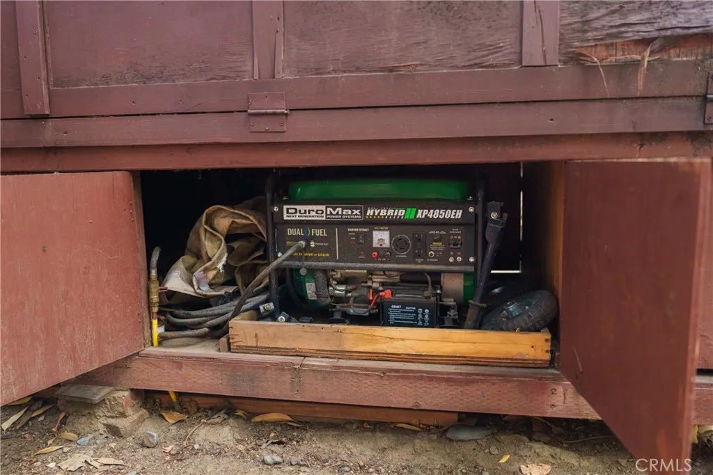 Propane Back-up Generator