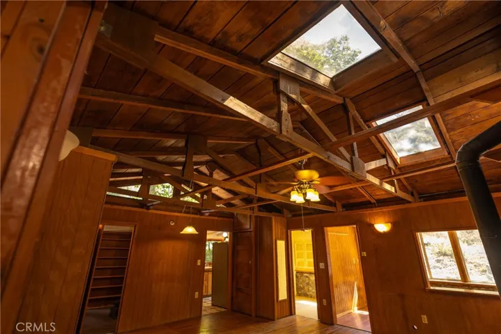 Skylights in great room