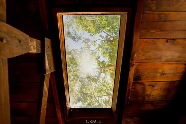 Skylight in great room