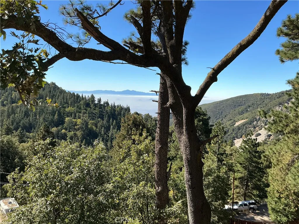 21669 21669 Vista, Cedarpines Park, California 92322 home-pic-2