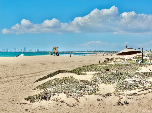 Love at First Sight :-) In the morning, or at night.