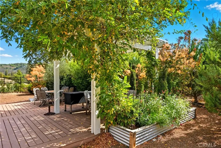 Lovely landscaping for beauty and shade