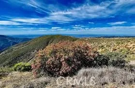 Bedford Canyon Trail