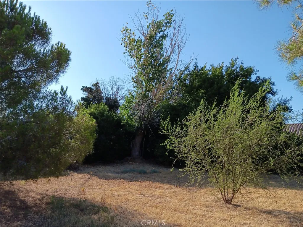 3759 Noll Drive, Palmdale, California 93550 home-pic-12