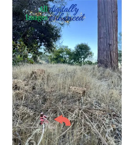 View of pin near power pole; not a representation of property boundary