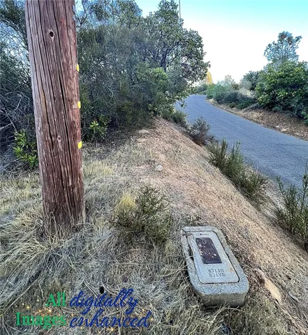 View of water meter and power pole; not a representation of property boundary