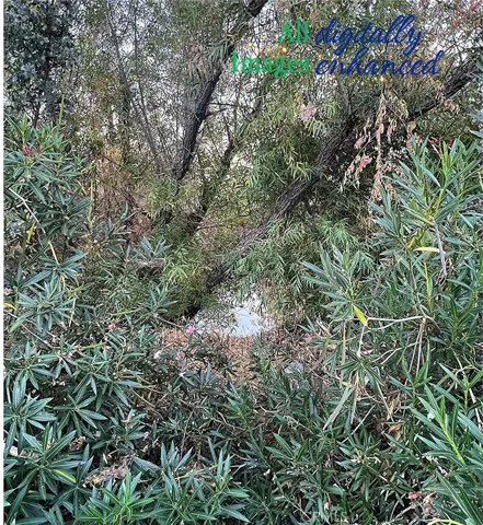 View of channel parcel; not a representation of property boundary