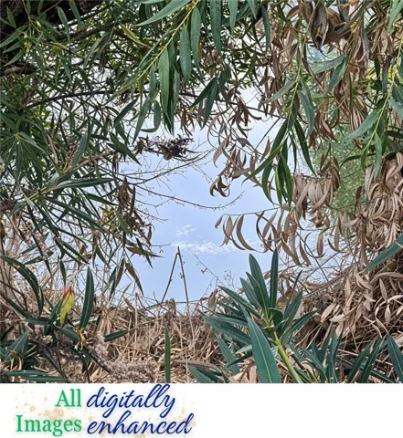View of water in channel parcel; not a representation of property boundary