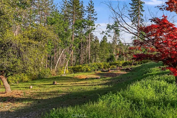 1712 Connell Lane, Paradise, California 95969