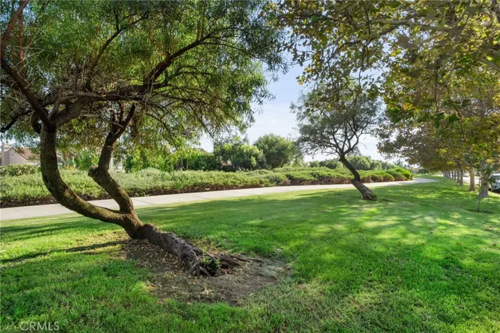 Look out your front windows onto the beautiful greenbelt!