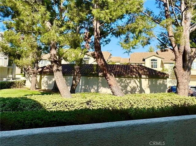 View from rear patio - mature trees and grassy field