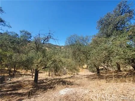 5129 Northfork, Paso Robles, California 93446 — photo 5