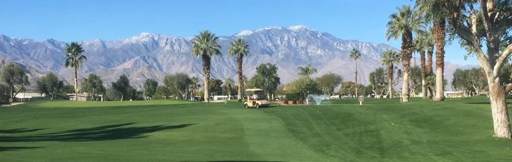 3.5 Golf Course Pan