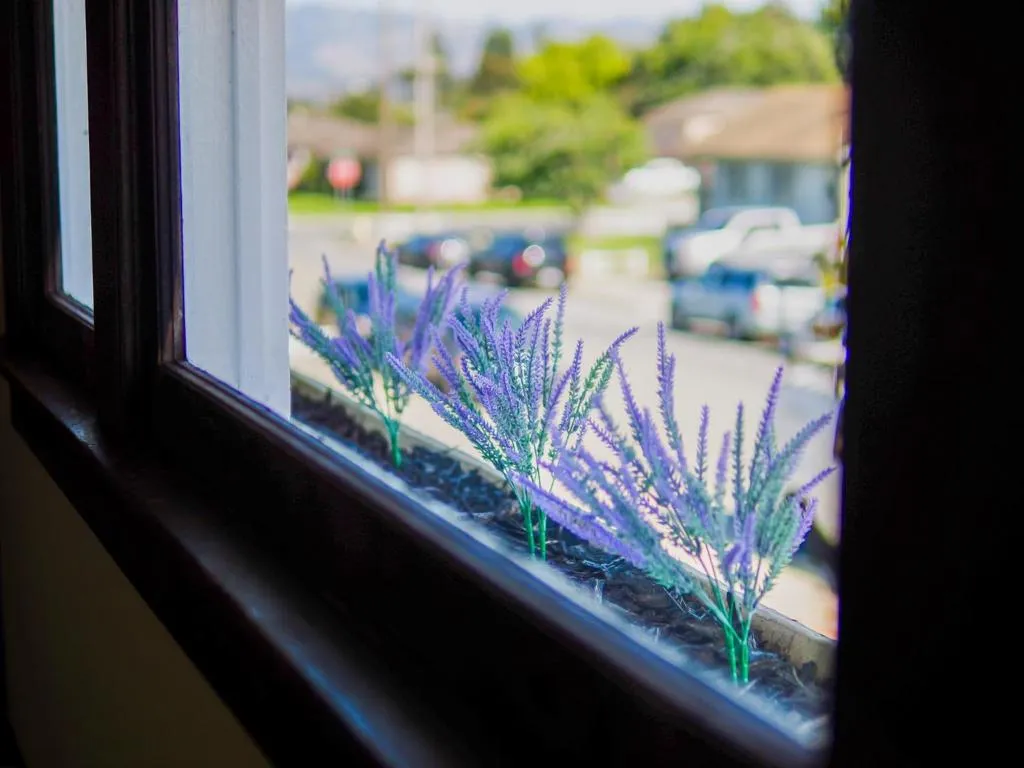 441 Center Street, Watsonville, California 95076 home-pic-20