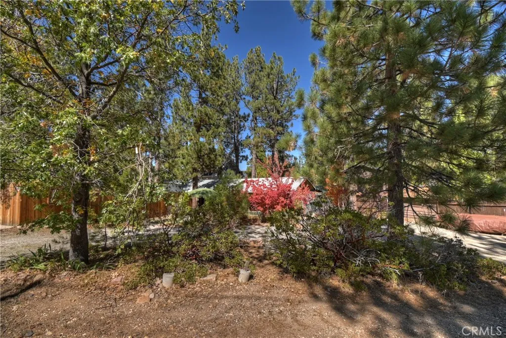 40256 Dream, Big Bear Lake, California 92315 home-pic-38