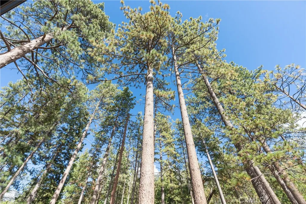 25220 Rim Rock, Idyllwild, California 92549 home-pic-33